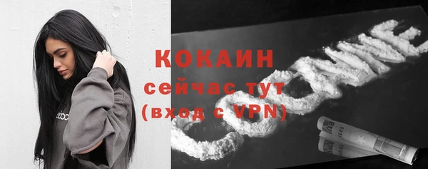 прущие крисы Арсеньев