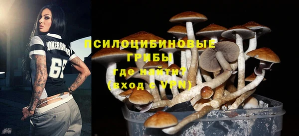 прущие крисы Арсеньев