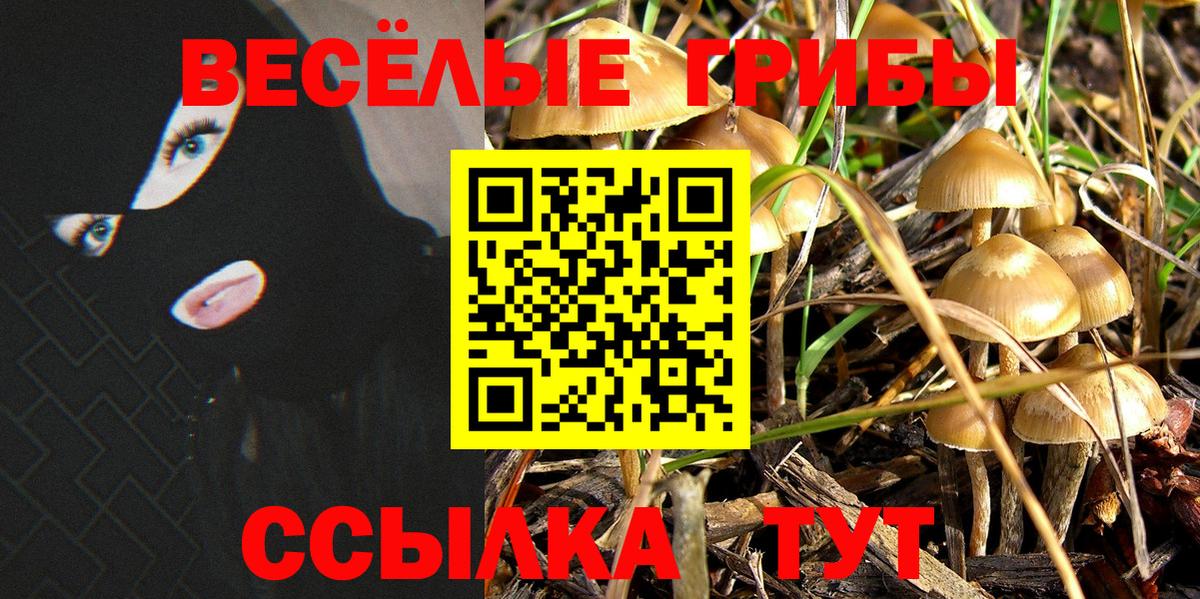 Галлюциногенные грибы мухоморы Асино