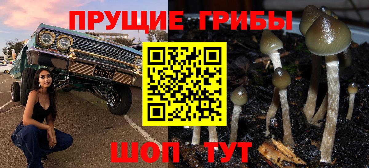 Галлюциногенные грибы прущие грибы Асино