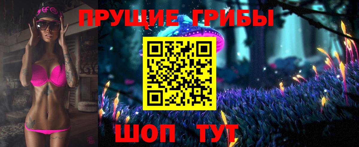 Асино  Галлюциногенные грибы Cubensis  Вход с VPN 