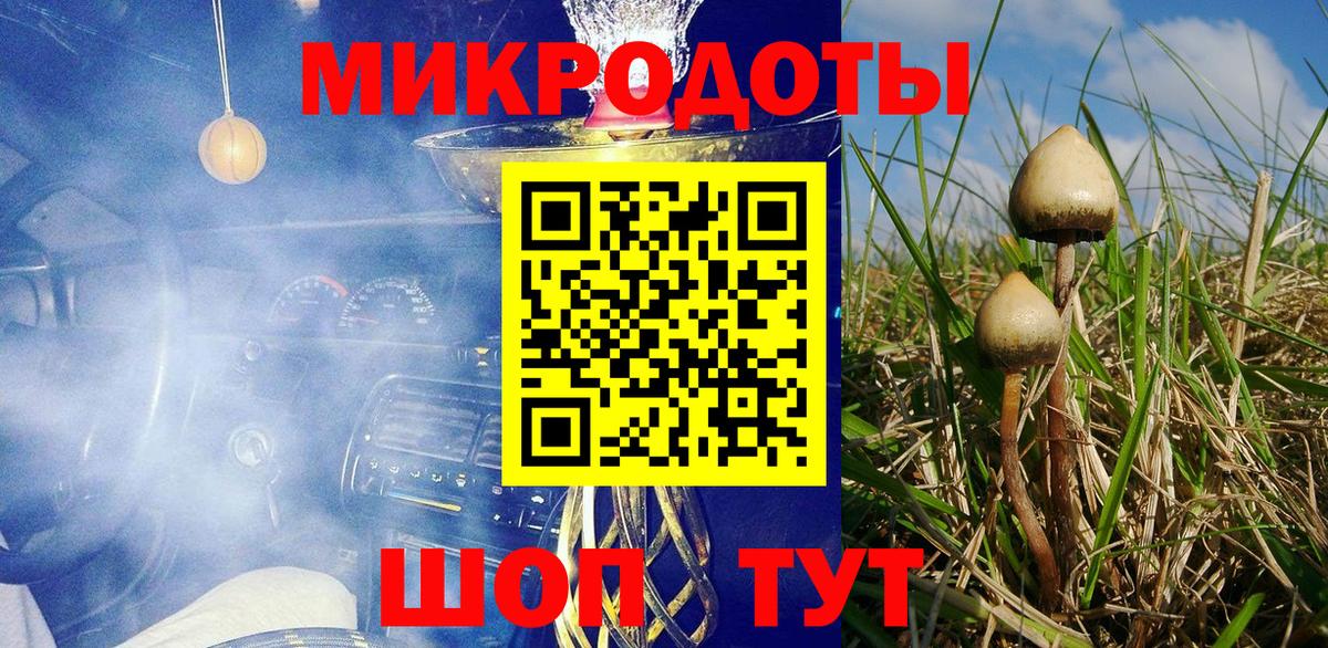 Псилоцибиновые грибы Cubensis  купить   Асино 