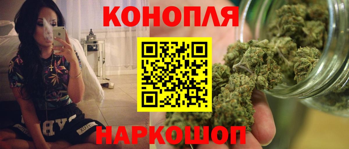 Шишки марихуана сатива Асино